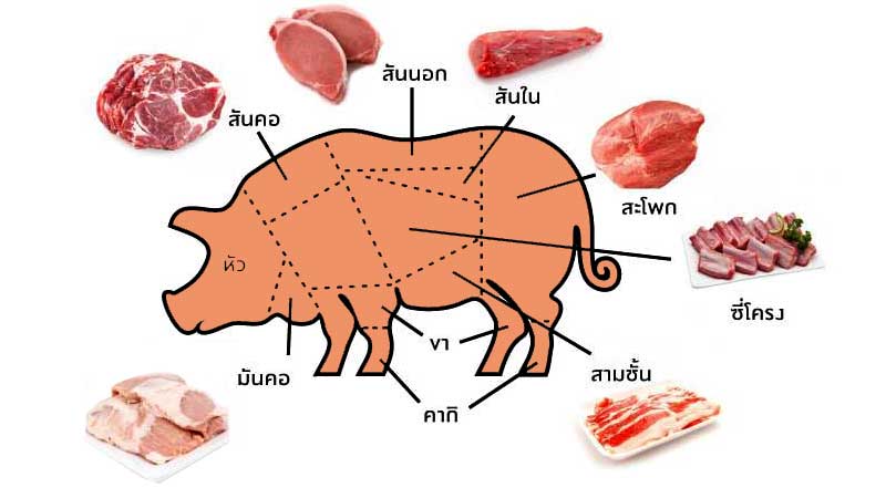 การเลือกซื้อส่วนต่างๆ ของหมู ส่วนไหนเอาไปทำอาหารอะไรดี