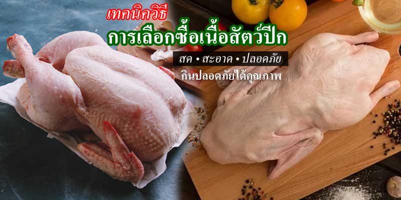 เทคนิควิธีการเลือกซื้อเนื้อสัตว์ปีก ไก่ เป็ด ให้สดใหม่สะอาดปลอดภัยในการประกอบอาหาร