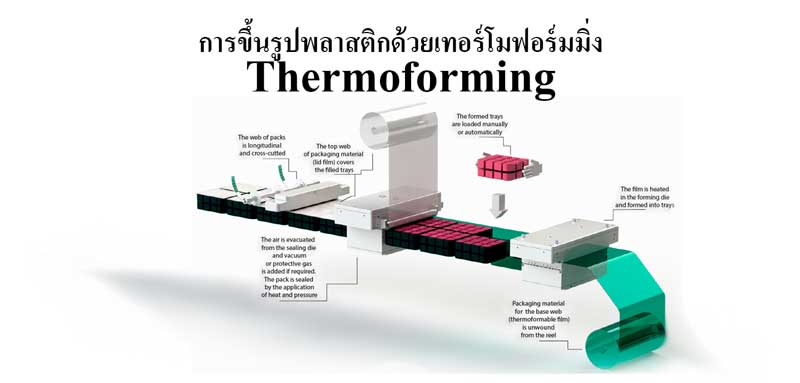 วิธีและขั้นตอนการขึ้นรูปพลาสติกด้วยเทอร์โมฟอร์มมิ่ง (Thermoforming)